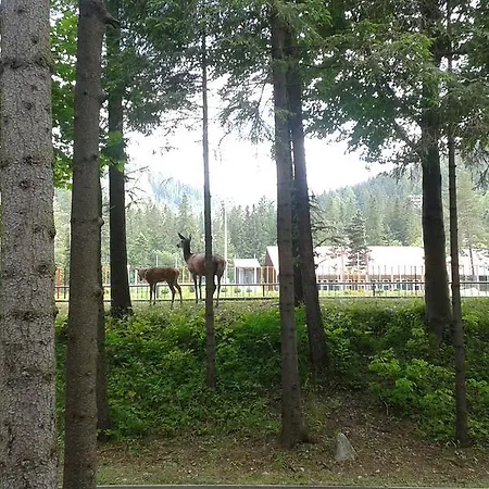 Pansiyon Ostoja Pod Tatrami Poronin
